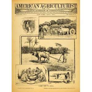  1890 Cover American Agriculturist Farm Life India Cattle 