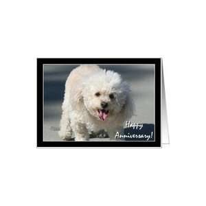  Happy Anniversary Bichon Frise dog Card Health & Personal 