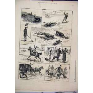  1882 Coursing Matches Dogs Horse Carriage Hare Print