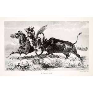1920 Print India Cow Horse Rifle Gun Shoot Cattle Attack Rampage Fight 