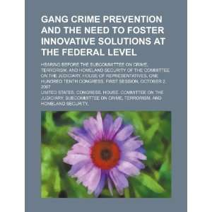 Gang crime prevention and the need to foster innovative solutions at 
