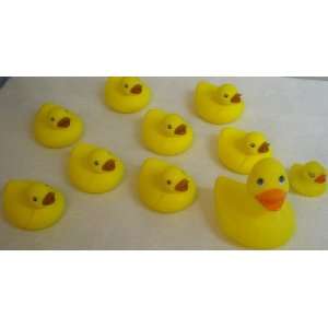  RUBBER DUCKS MOTHER AND 7 DUCKLINGS 1 RUNT CUTE YELLOW 