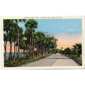 1930s Vintage Postcard   Indian River Trail   Florida