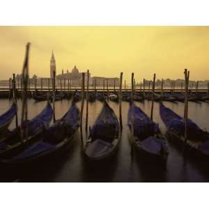 Row of Gondolas at Dawn, San Giorgio Maggiore, Venice, Veneto, Italy 