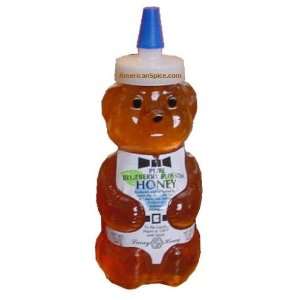 Laney Pure Blueberry Blossom Honey in Bear Bottle, 12 fl oz:  