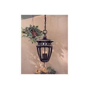   Collection 11 1/4 High Outdoor Hanging Light