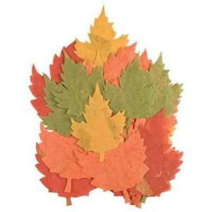 Diecuts 20pc Leaves Warmcolors Arts, Crafts & Sewing