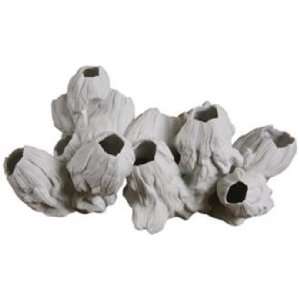   Medium White Barnacle Sculpture With Realistic Ripples