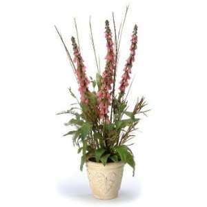  Foxglove with mixed foliages in pot: Home & Kitchen