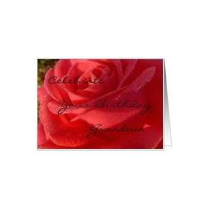  Birthday, Grandma, dewy red rose Card Health & Personal 