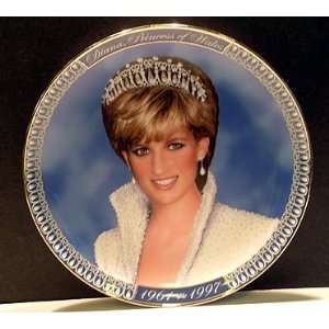  Princess Diana: Princess of Wales Plate: Everything Else