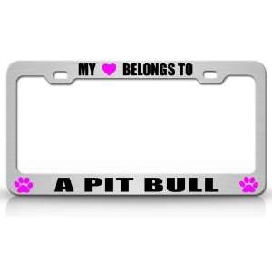 MY HEART BELONGS TO A PIT BULL Dog Pet Steel Metal Auto License Plate 