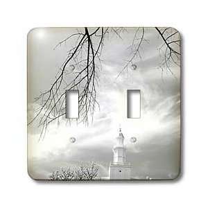   Tree Framing The Picture   Light Switch Covers   double toggle switch
