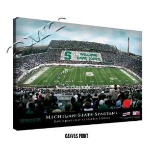  Michigan State Spartans Personalized Football Stadium 