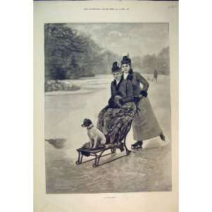 1892 Winter Scene Ice Skating Women Dog Comedy Print:  Home 