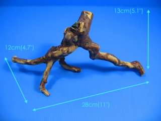 Tree root Aquarium Ornament Mangrove WOOD DECORATION L  