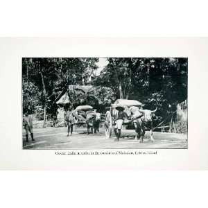  1923 Print Oxen Bullock Cart Coffee Makassar Sulawesi 