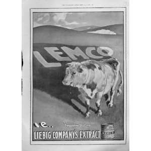 Lemco Cows Suggestive Shadow Antique Advertisment 1900  