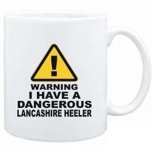    WARNING  DANGEROUS Lancashire Heeler  Dogs