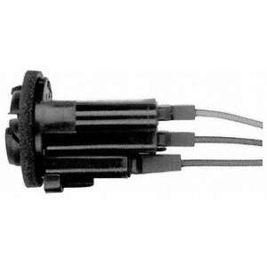    Dorman 85875 3 Wire GM Front Park and Turn Socket: Automotive