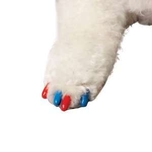  Canine Soft Claws 40 Pack Summer Colors Dog Nail Caps Kit 
