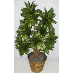  38 Artificial Dracaena Plant (Green)
