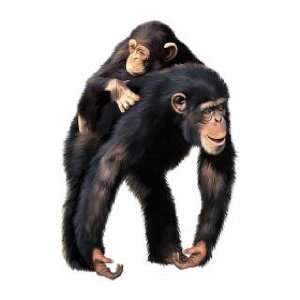  CHIMPANZEE chimp monkey jungle wallpaper WALL MURAL