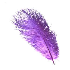  Artificial Ostrich Feather 15 Purple Color: Everything 