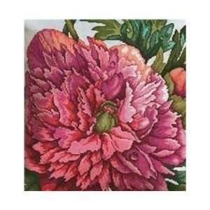    Blooms, Cross Stitch from Leisure Arts Arts, Crafts & Sewing