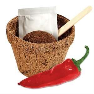    Grow Me Hot Stuff   Grow Your Own Chilli Plants Toys & Games