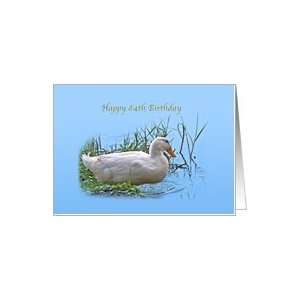  84th Birthday Card with Pekin Duck Card Toys & Games