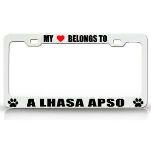  MY HEART BELONGS TO A LHASA APSO Dog Pet Steel Metal Auto 