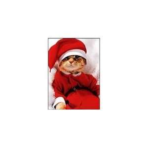  Cat in Santa Suit Greeting Card Set