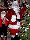PROFESSIONAL SANTA SUIT with FUR plus WIG and BEARD SET