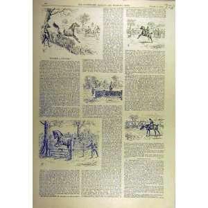   1892 Hunter Horse Sketches Hunting Training Old Print