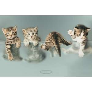Kittens by Rachael Hale 36x24 