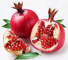 pomegranate tree  