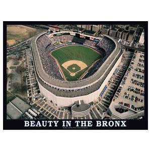  Beauty in the Bronx Jigsaw Puzzle Toys & Games