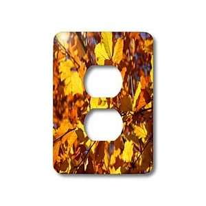 Yves Creations Colorful Leaves   Autumn Leaves   Light Switch Covers 