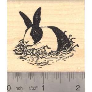  Black and White Dutch Rabbit Rubber Stamp: Arts, Crafts 