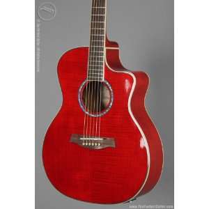  Ibanez Ambiance Series A200E Acoustic Guitar: Musical 