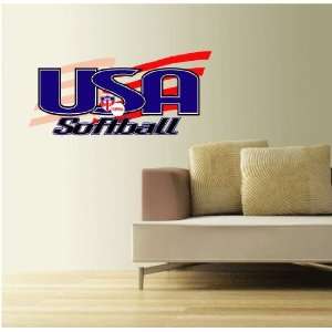 USA Softball Wall Decor Interior Sticker 25 x 12