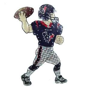 Houston Texans Animated Lawn Figure:  Sports & Outdoors