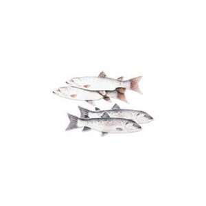  Jolees Boutique Fresh Water Fish Dimensional Stickers 