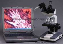 video eyepiece camera inserted into microscope laptop and microscope 