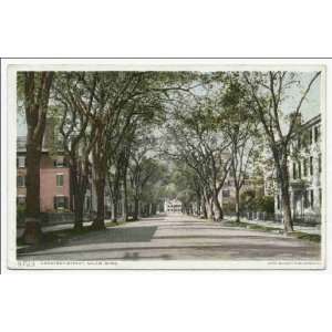    Reprint Chestnut Street, Salem, Mass 1898 1931: Home & Kitchen