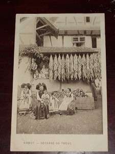 Old postcard Alsacienne Alsace France scene typical  