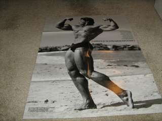 Arnold Schwarzenegger GIANT SIZE Bodybuilding Muscle Poster  