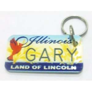  Illinois Land of Lincoln Gary Keychain, Key Holder, Key 