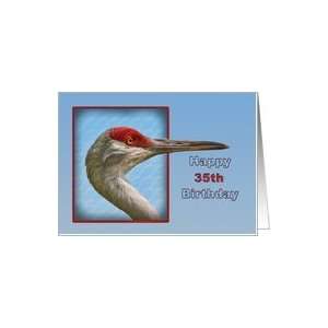  35th Birthday, Sandhill Crane Bird Card Toys & Games